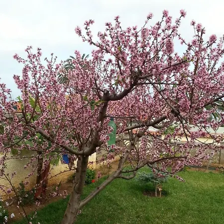Holiday Flores De Erika- Magnolia 度假居 *